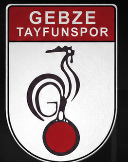 Gebze Tayfunspor Logo